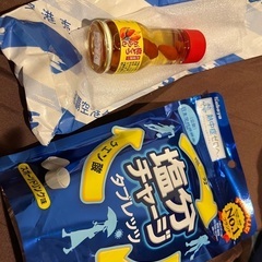 おまけ付き⭐︎沖縄の島とうがらし泡盛漬けと、塩分タブレッツ