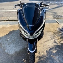pcx jf81