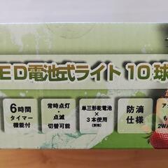 PINEAPPLEライト　LED電池式10球の画像