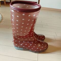 女性Sサイズの画像