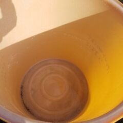 値下げしました。雨水貯水槽　500Lの画像