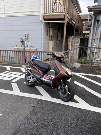 シグナス　2型　国内