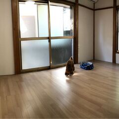 戸建て賃貸　*ペット可　*DIY可　*フルリフォーム済（設備新品） − 神奈川県