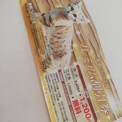 那須どうぶつ王国 割引券 こども無料①
