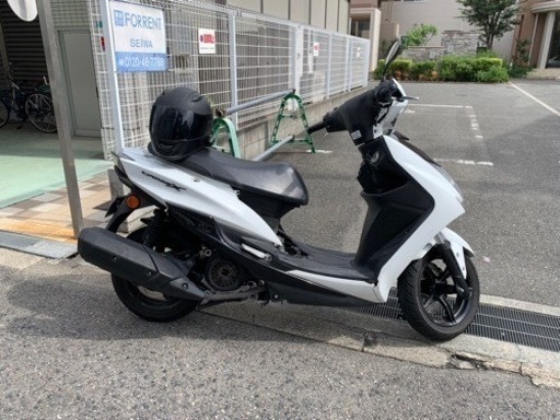 シグナス　4型　後期
