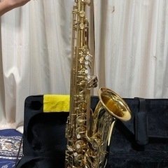 春から部活を始める子供さんに♪テナーサックスSoleil STNー1 春から部活を始める子供さんに♪テナーサックスSoleil STNー1