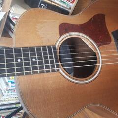 テイラー　Taylor gsminiの画像