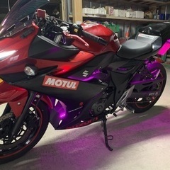 SUZUKI GSX250R カスタム