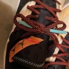 エアージョーダン AIRJORDAN26.5の画像