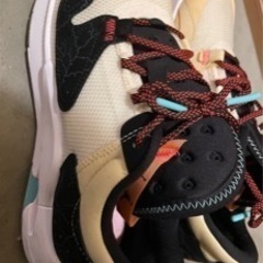 エアージョーダン AIRJORDAN26.5の画像
