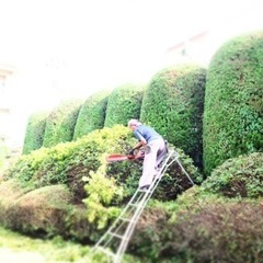 造園工事の雑用などの画像