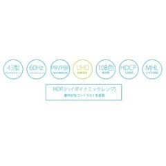43型・4Kディスプレイの画像