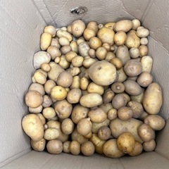 キッチンカーの画像