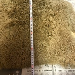 多分羊皮の画像