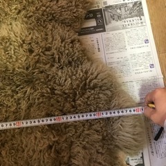 多分羊皮の画像