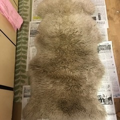 ふわふわ！