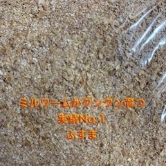 卵トレー　ふすま粉　昆虫飼育用の画像