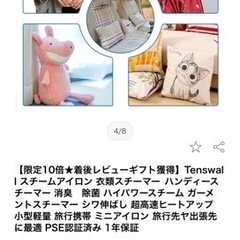 【美品】Tenswall スチームアイロンの画像
