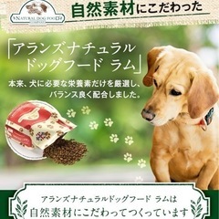 ナチュラルドッグフード　5袋の画像