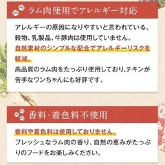 ナチュラルドッグフード　5袋の画像