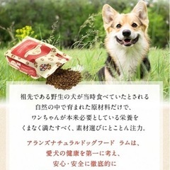 ナチュラルドッグフード　5袋の画像