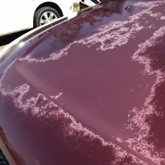 車のラッピング
