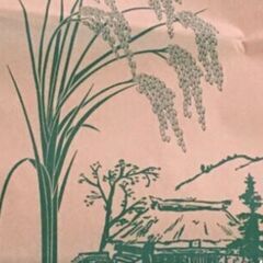 新米！玄米30kg★ヒノヒカリ