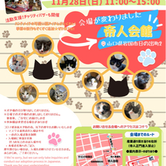 第１７回　保護猫譲渡会　岩国犬猫しあわせの架け橋