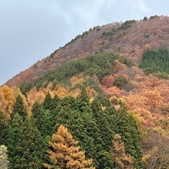 主に平日活動するイベントサークル - その他