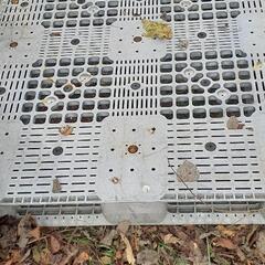 厚手バレットの画像