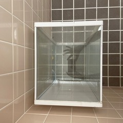 【取り引き者決まりました！】水槽　60cmの画像