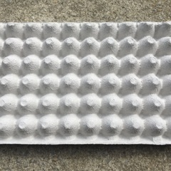 卵トレー（生き物飼育用）