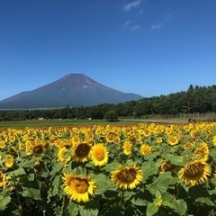 平日ツーリング - 八王子市