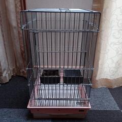 🦜オウムゲージ🦜中古