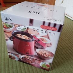 DS-7697 レッド D & S ミニライスクッカー 1.5合炊き 炊飯器の画像