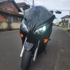 MF10フオルッアZ【オーディオPKG]