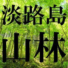 ＿＿山林＿＿◆淡路島★＿＿売山＿＿