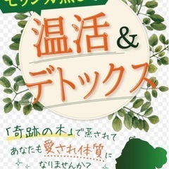 温活＊体質改善　モリンガ蒸しorよもぎ蒸し