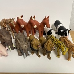動物　アニマル　フィギュア