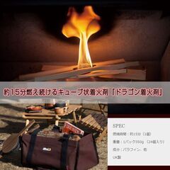 着火剤 【 FIRESIDE ドラゴン着火剤 】 ファイヤーサイド オシャレキャンプ ソロキャンプ アウトドア 焚き火 BBQ 初心者 簡単 ギフト ( 630540 )の画像