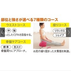 エアプリエスイートプレミアム☆ダイエット、腰痛防止にの画像