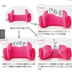 エアプリエスイートプレミアム☆ダイエット、腰痛防止にの画像