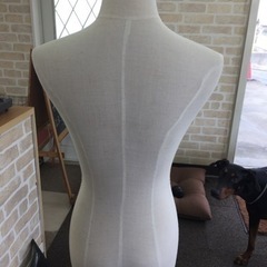 ☆トルソー☆の画像