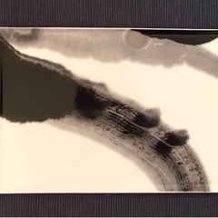 コシノヒロコ 墨の瞬 長角皿 ニッコー 新品、未使用品