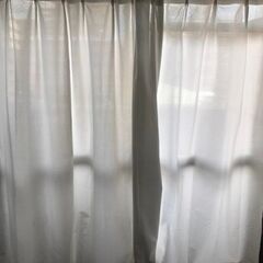 無料なカーテン