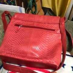 パイソン　ショルダーバックの画像