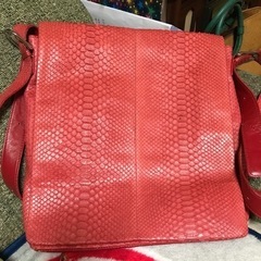 パイソン　ショルダーバック