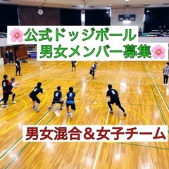 🌟公式ドッジボール中学生以上の男女メンバー募集🌟