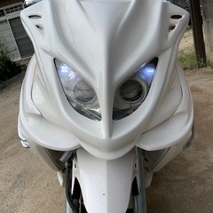 今月限定　ヤマハマジェスティc250 SG03Jの画像