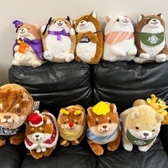 忠犬もちしば他ぬいぐるみ売ります。の画像